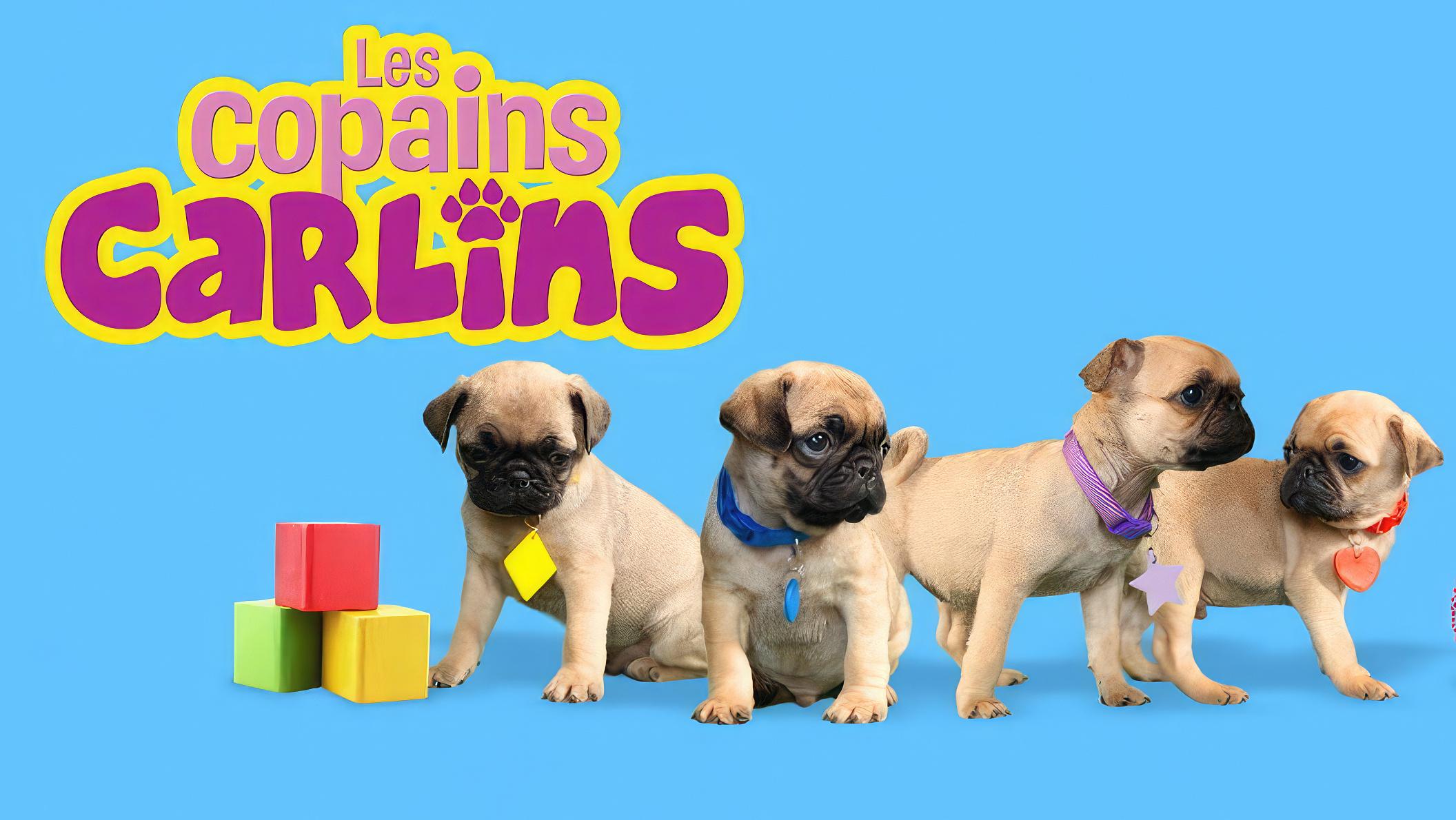 Les copains carlins
