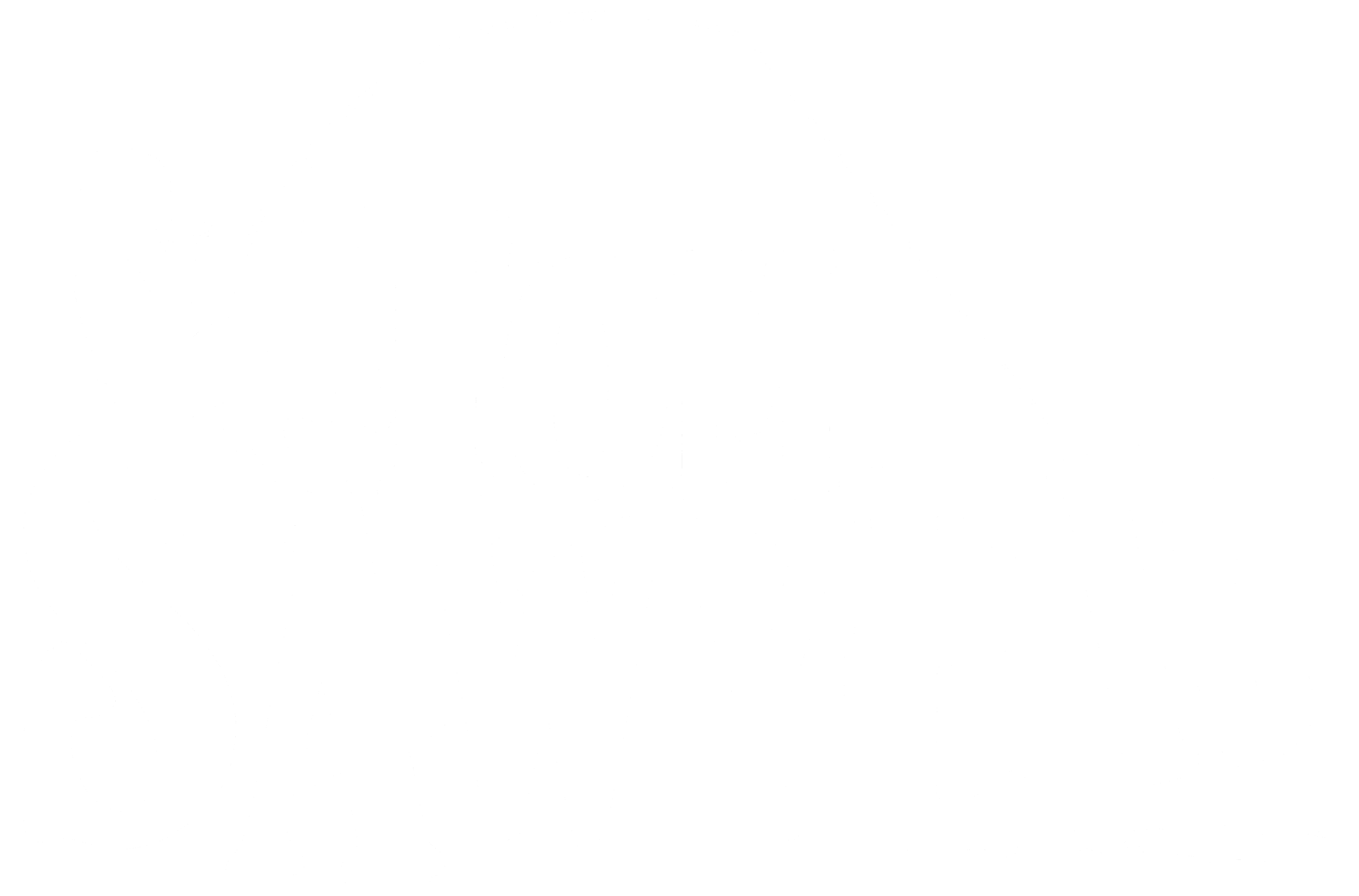 Tom Sawyer