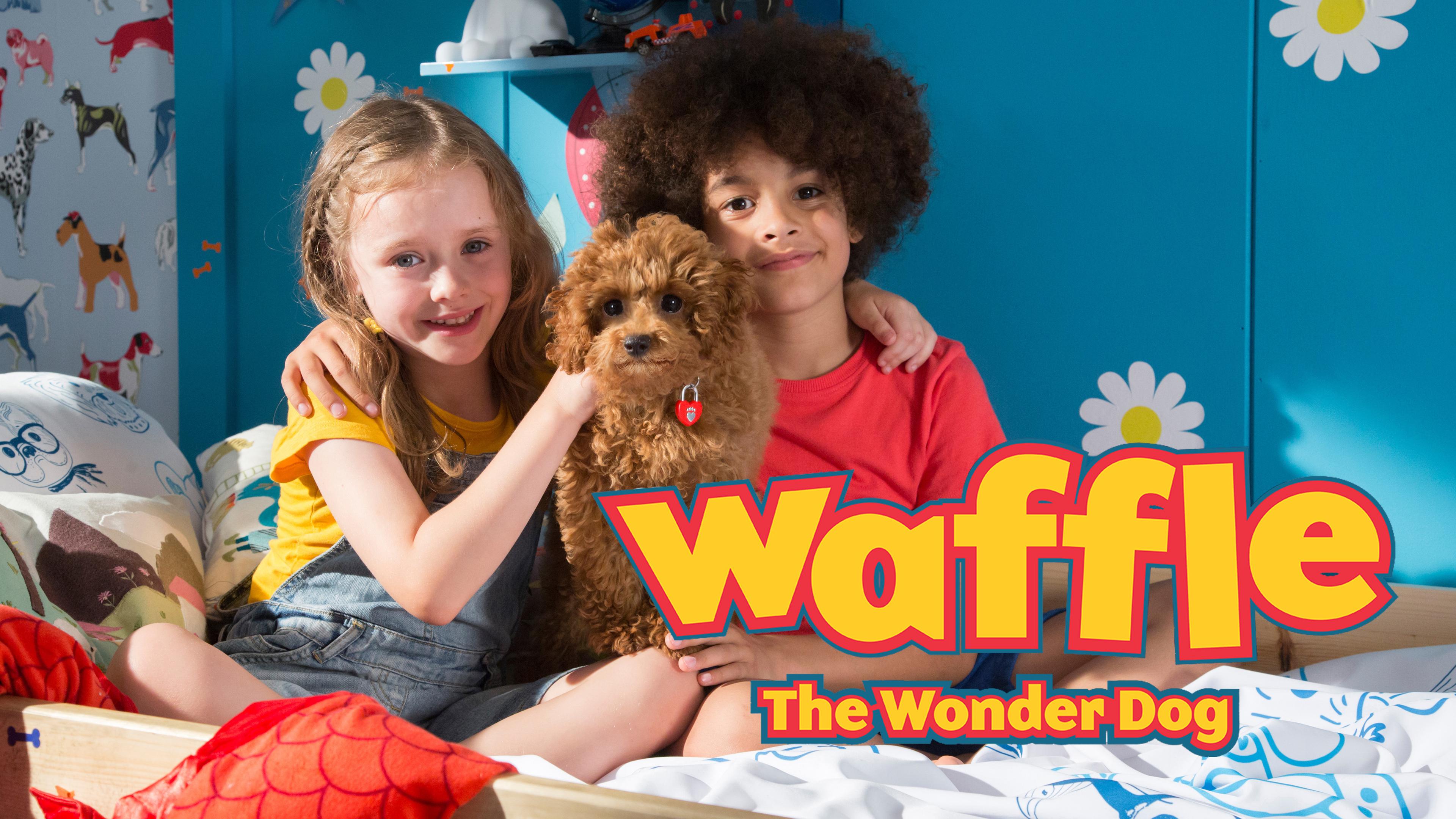 Waffle le chien Waouh