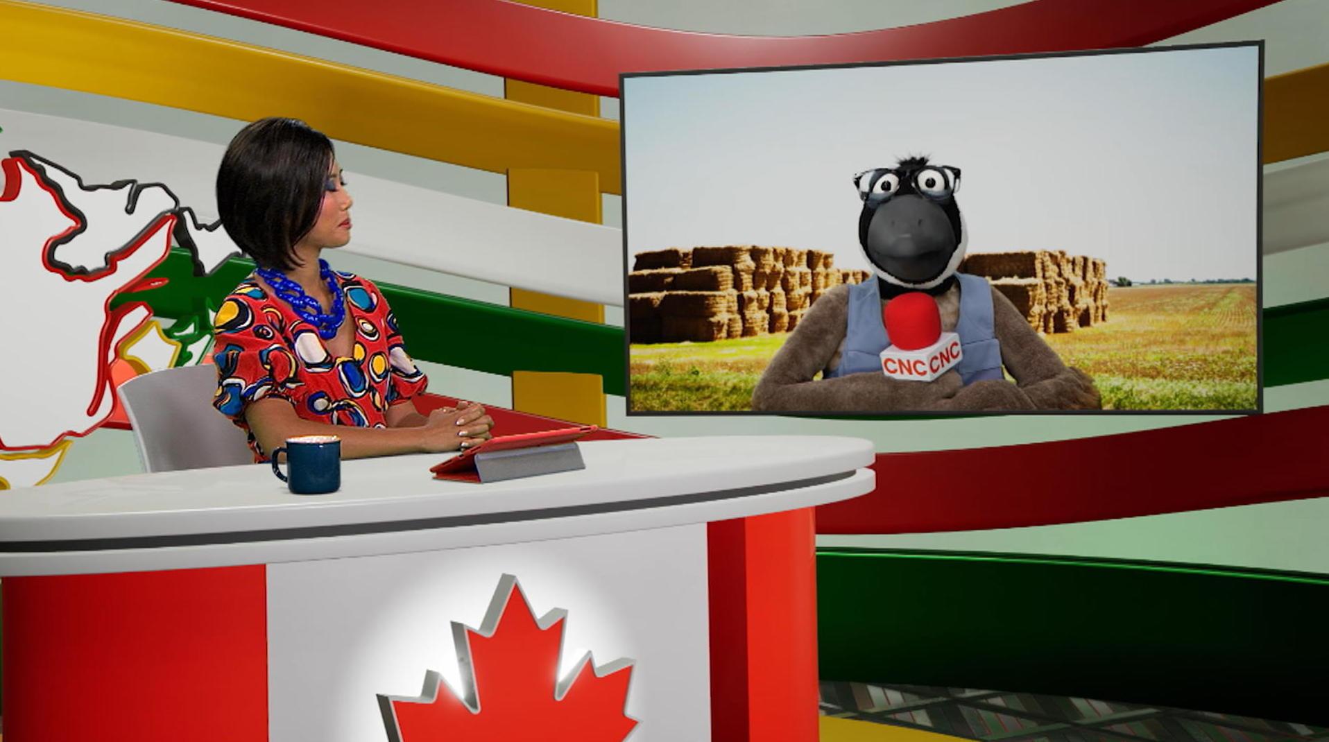 Les écozones du Canada
