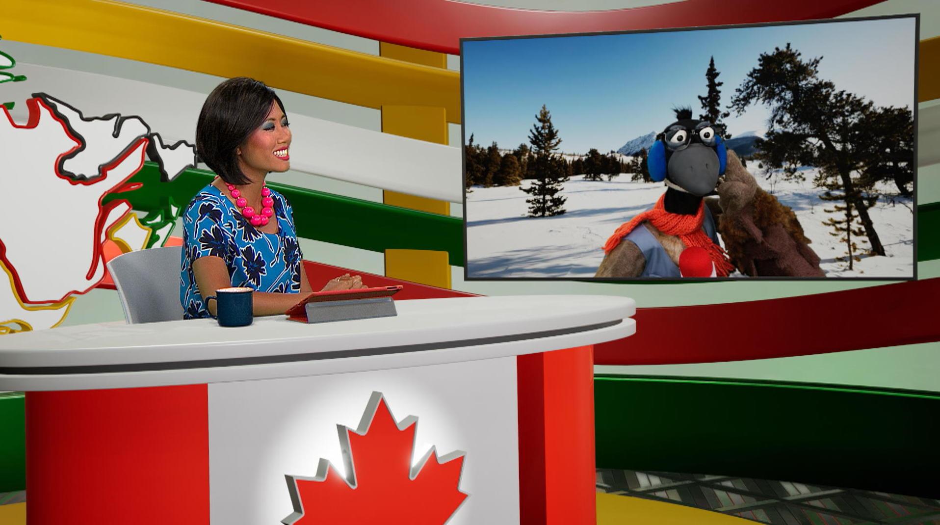 Le plus petit désert au monde est au Yukon