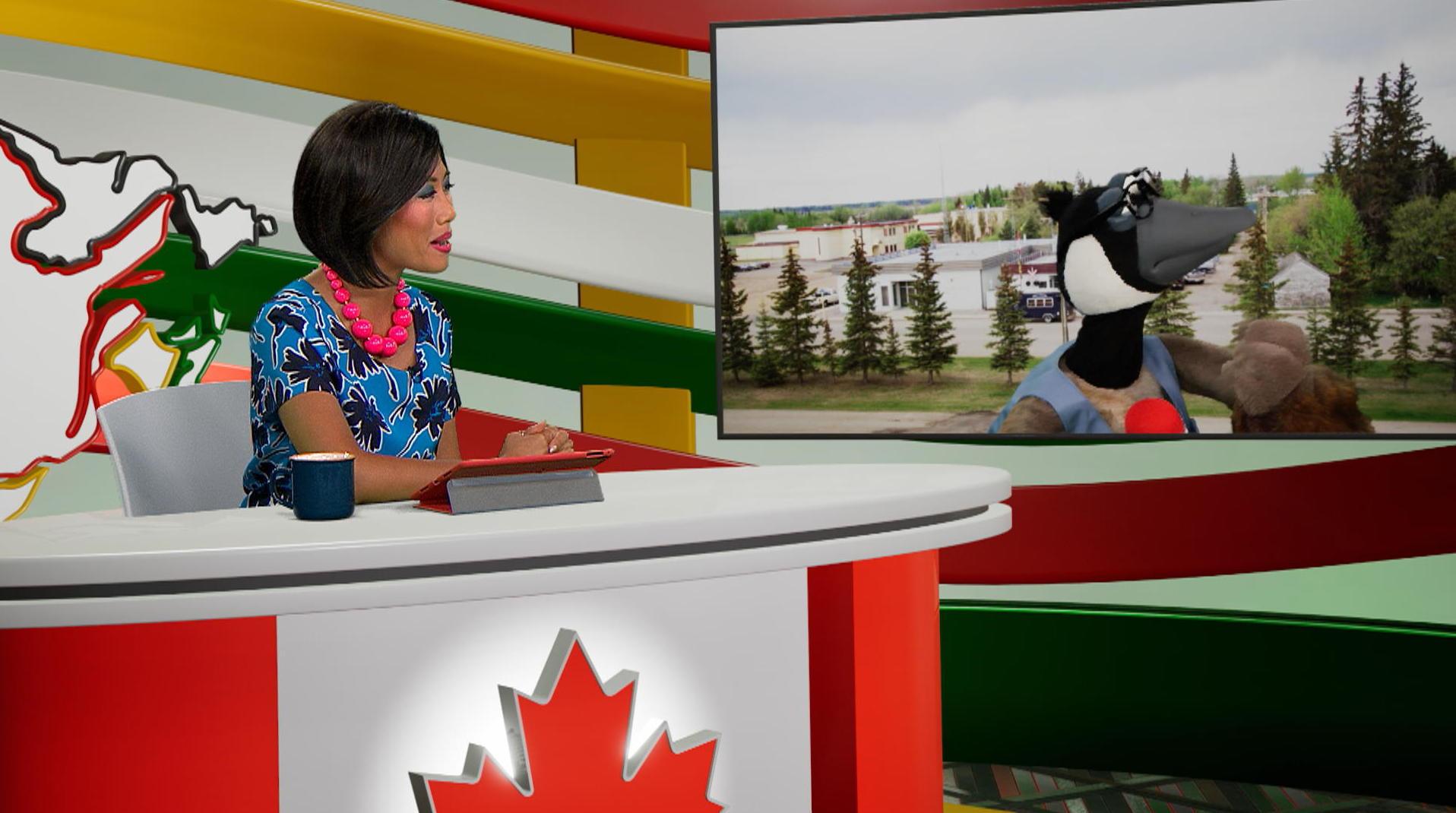 Le plus gros pierogi du monde en Alberta