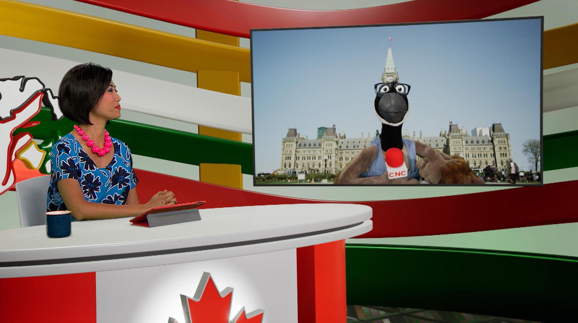Le drapeau du Canada