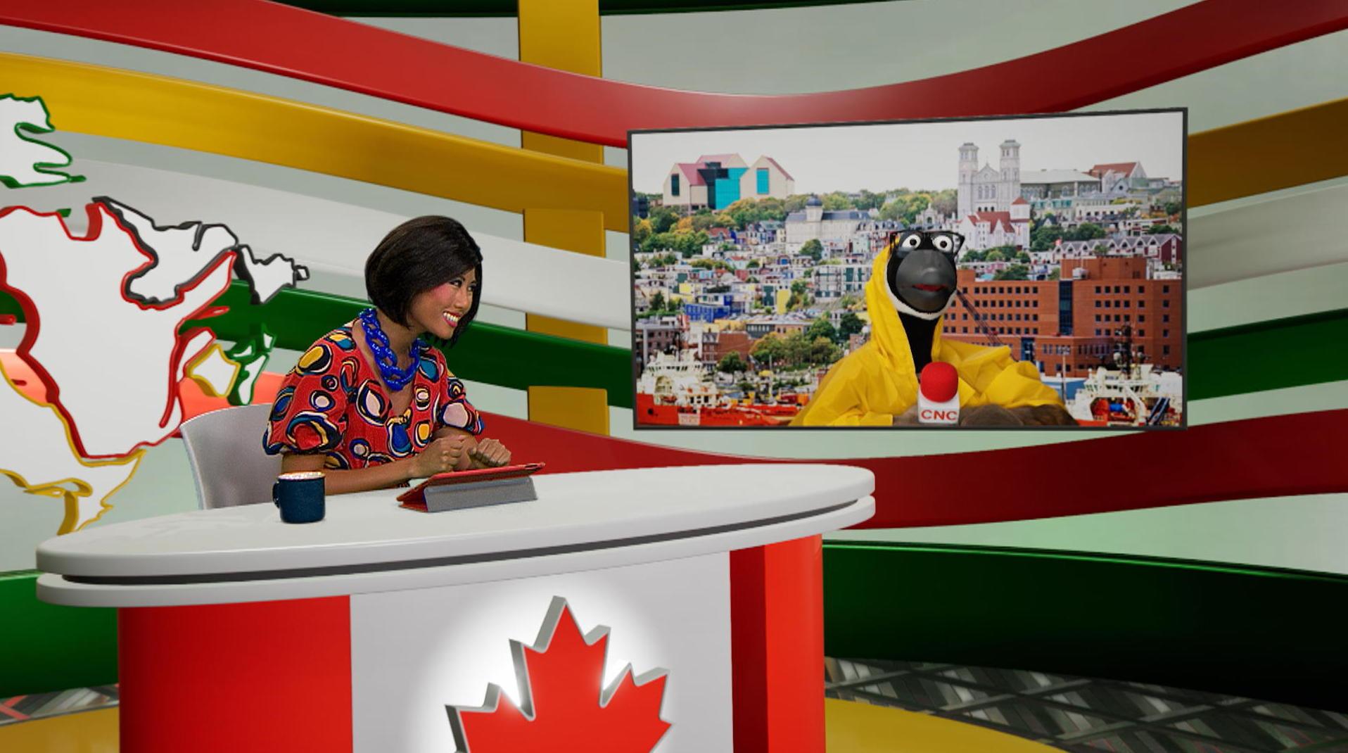 Les grandes villes de Terre-Neuve-et-Labrador