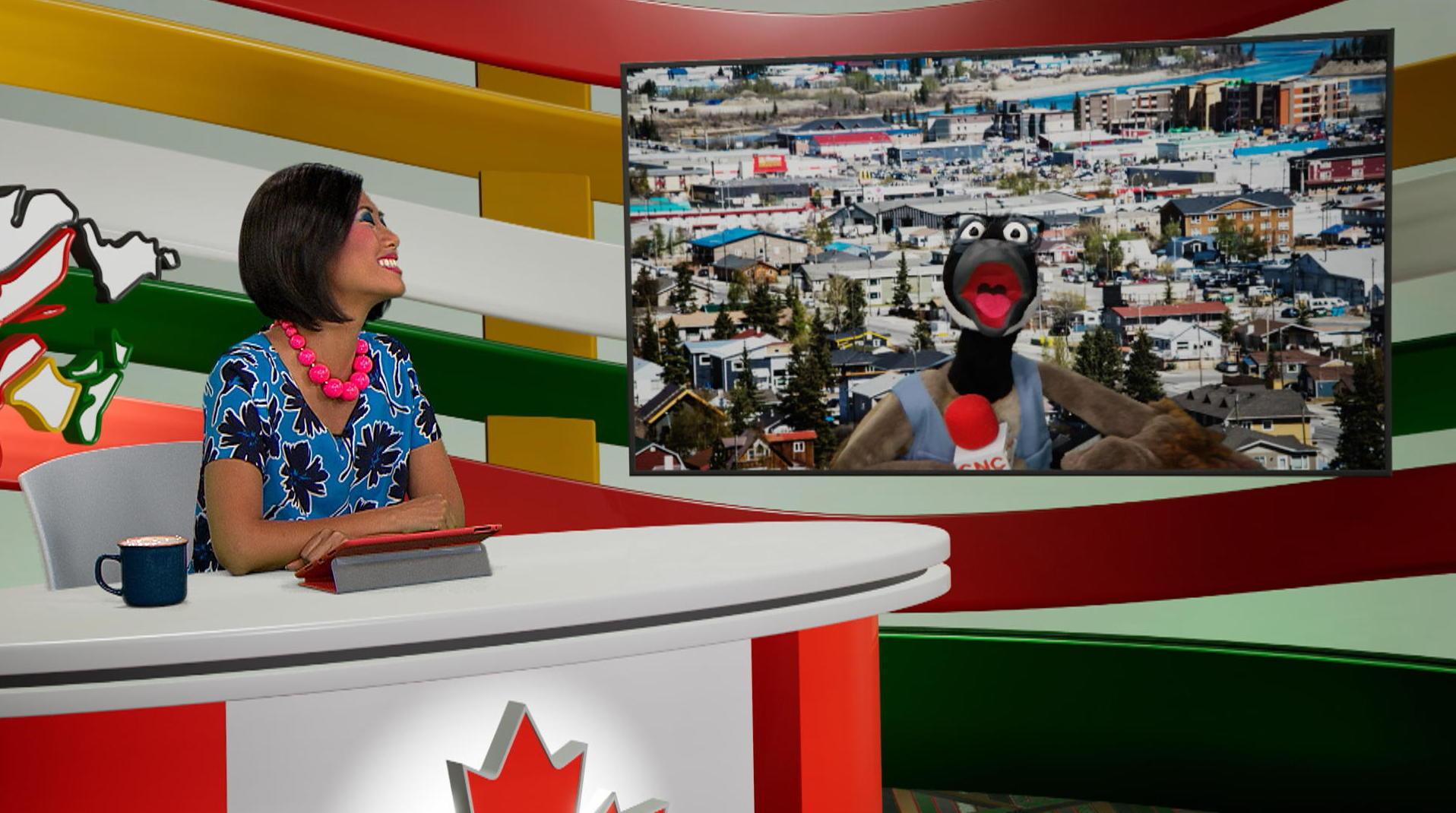 Les grandes villes du Yukon