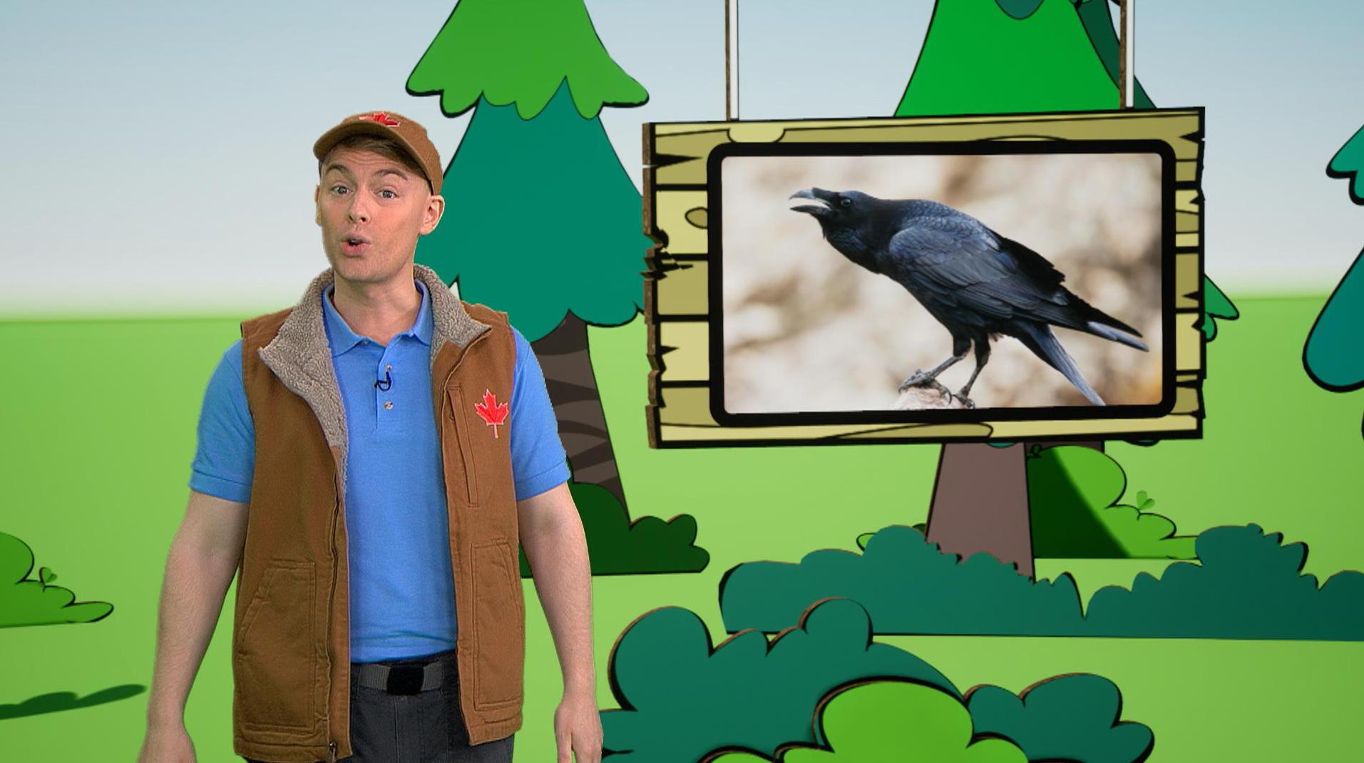 Le grand corbeau