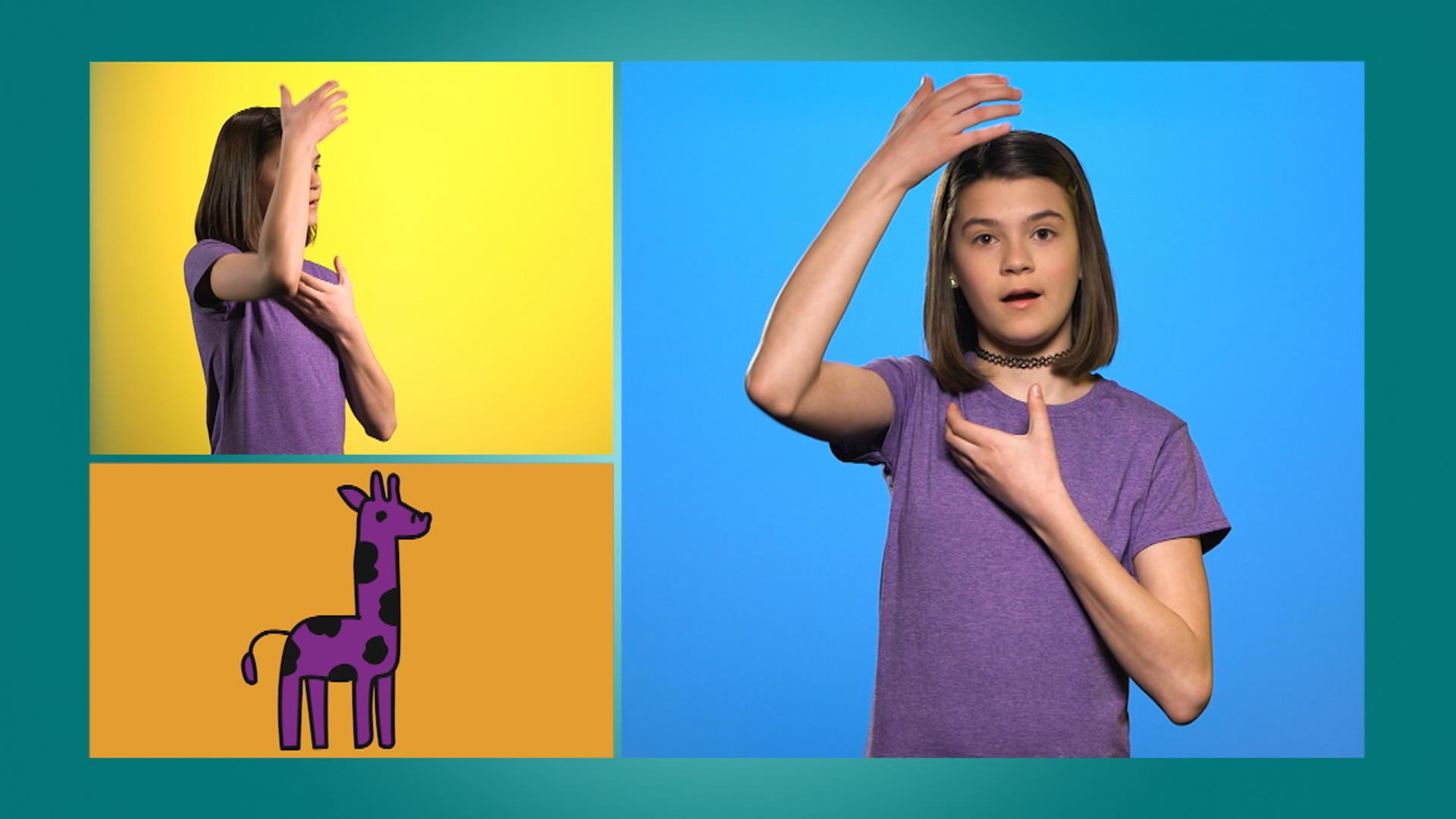 Animaux : girafe, lion, éléphant