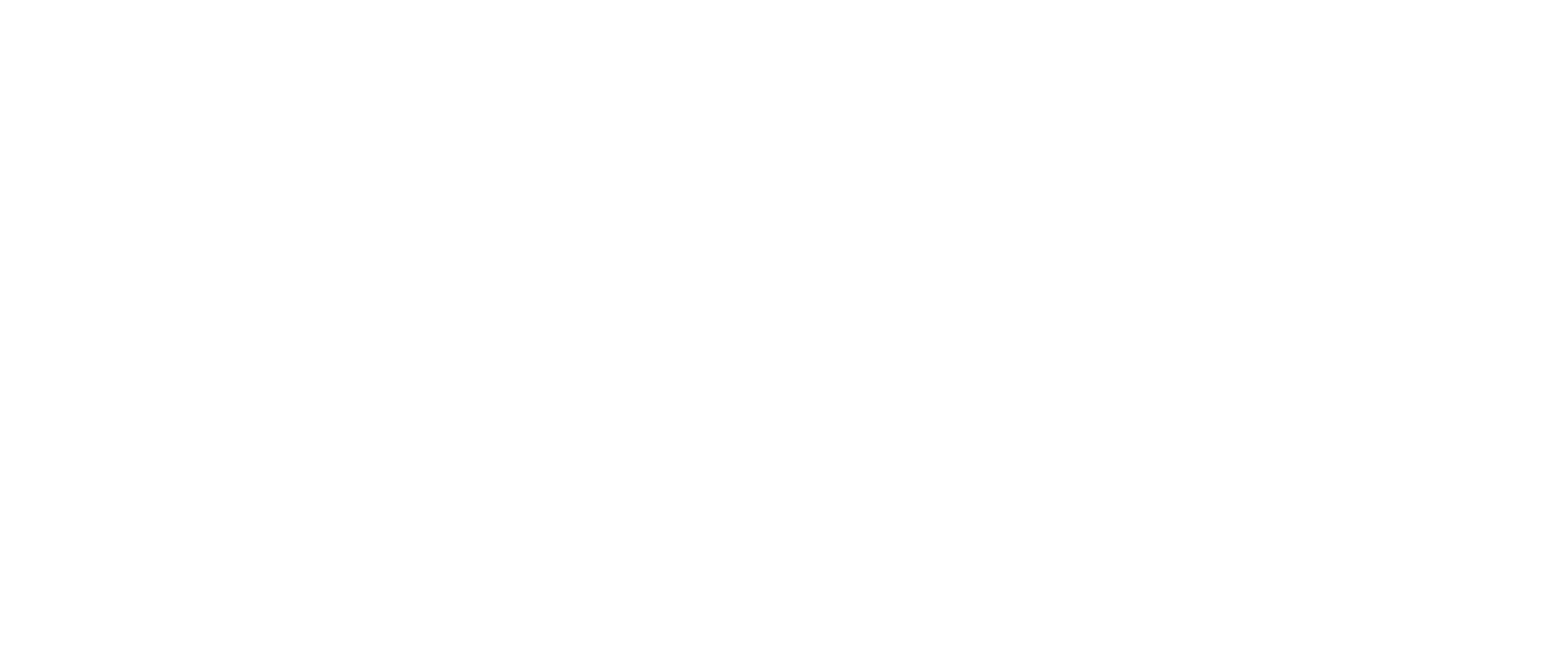 L'Odyssée de Choum