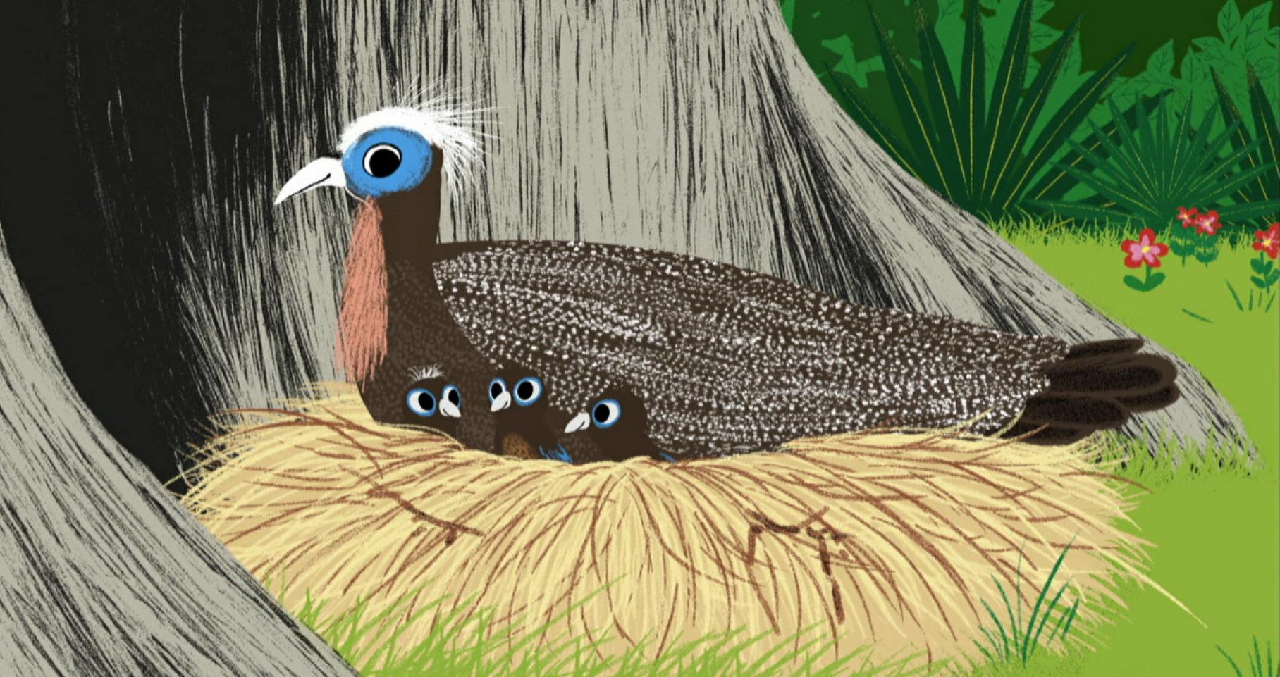 L'oiseau perdu