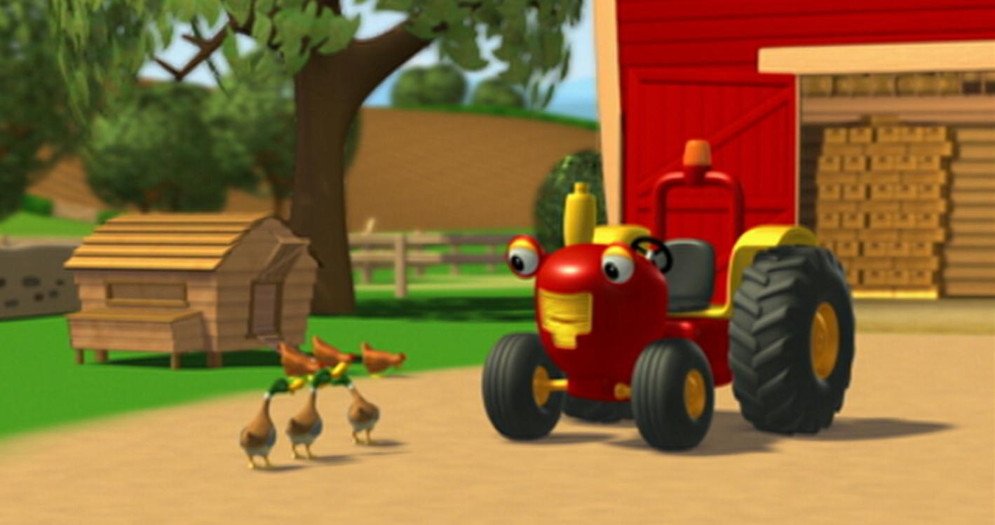 Les canards sauvages