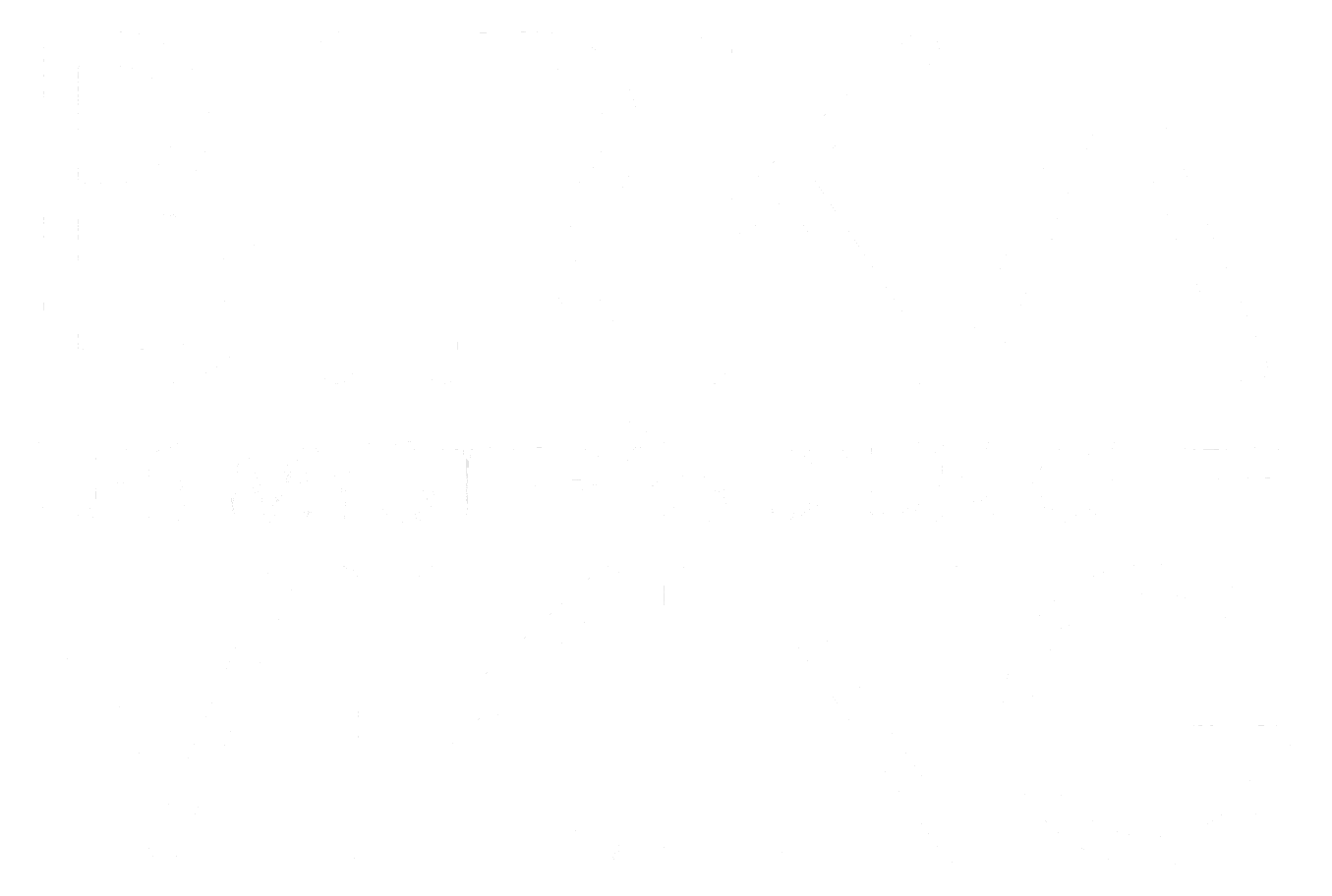 La guerrière de Birka
