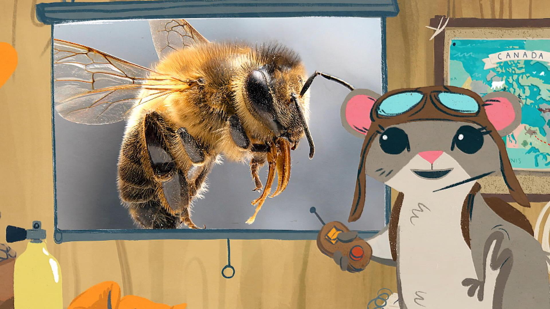 L'abeille