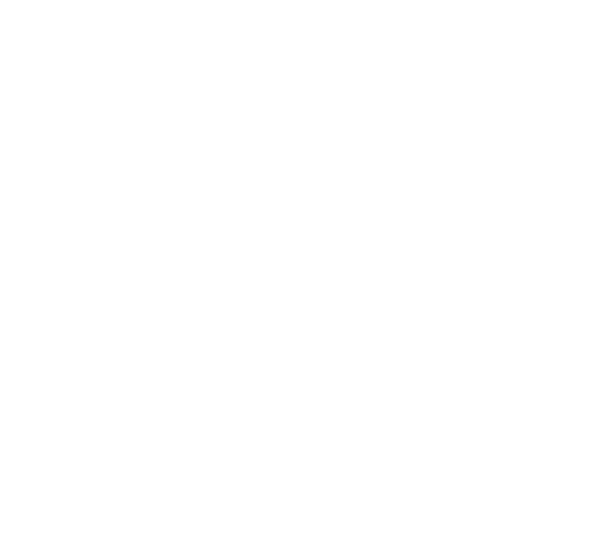 Rebelles sur pointes