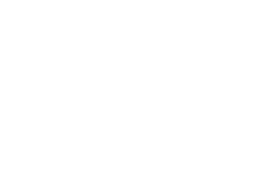 Rebelles sur pointes