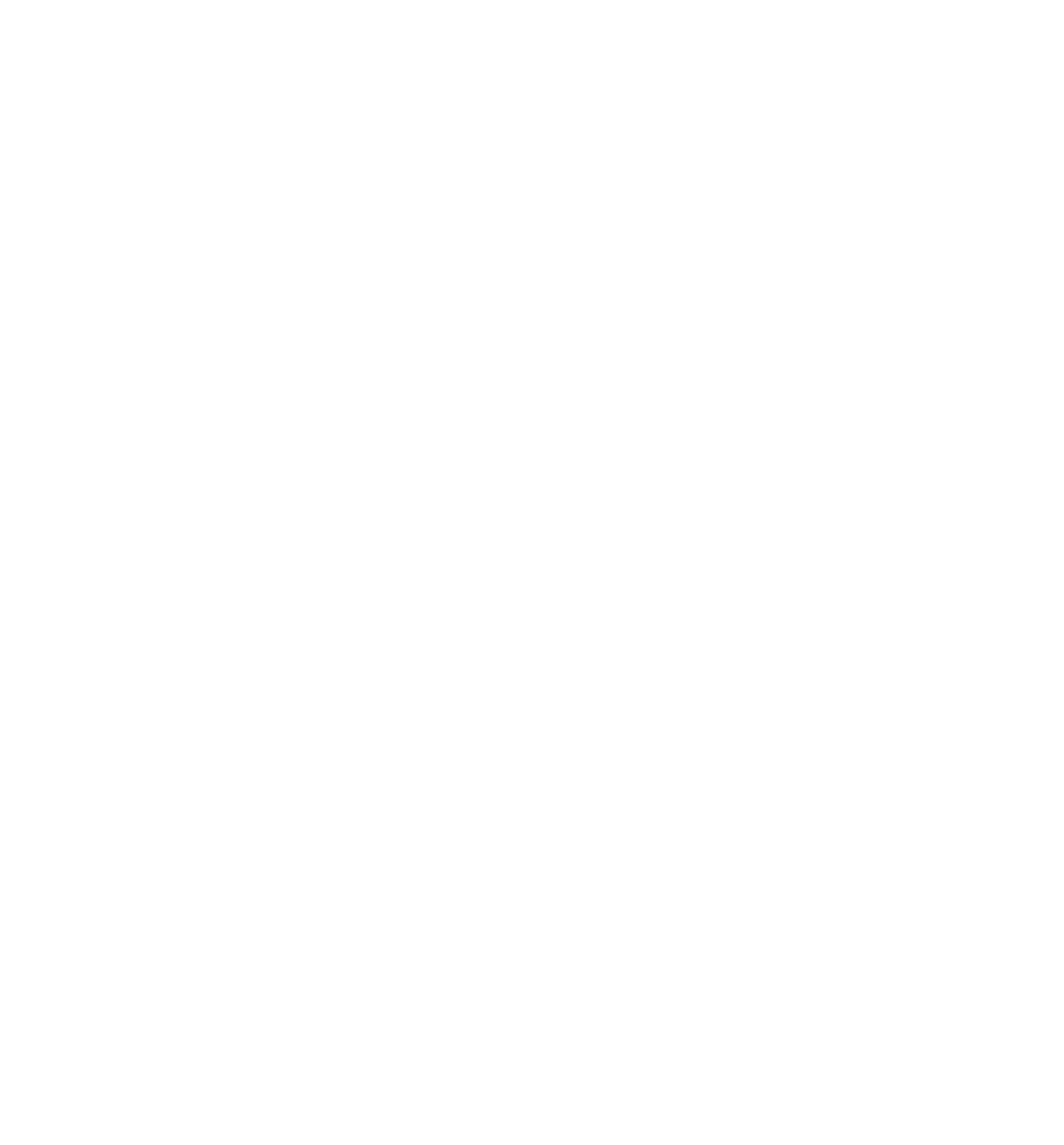 Pompon ours