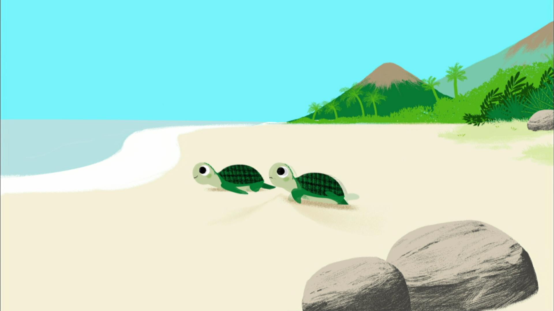 Les tortues vertes